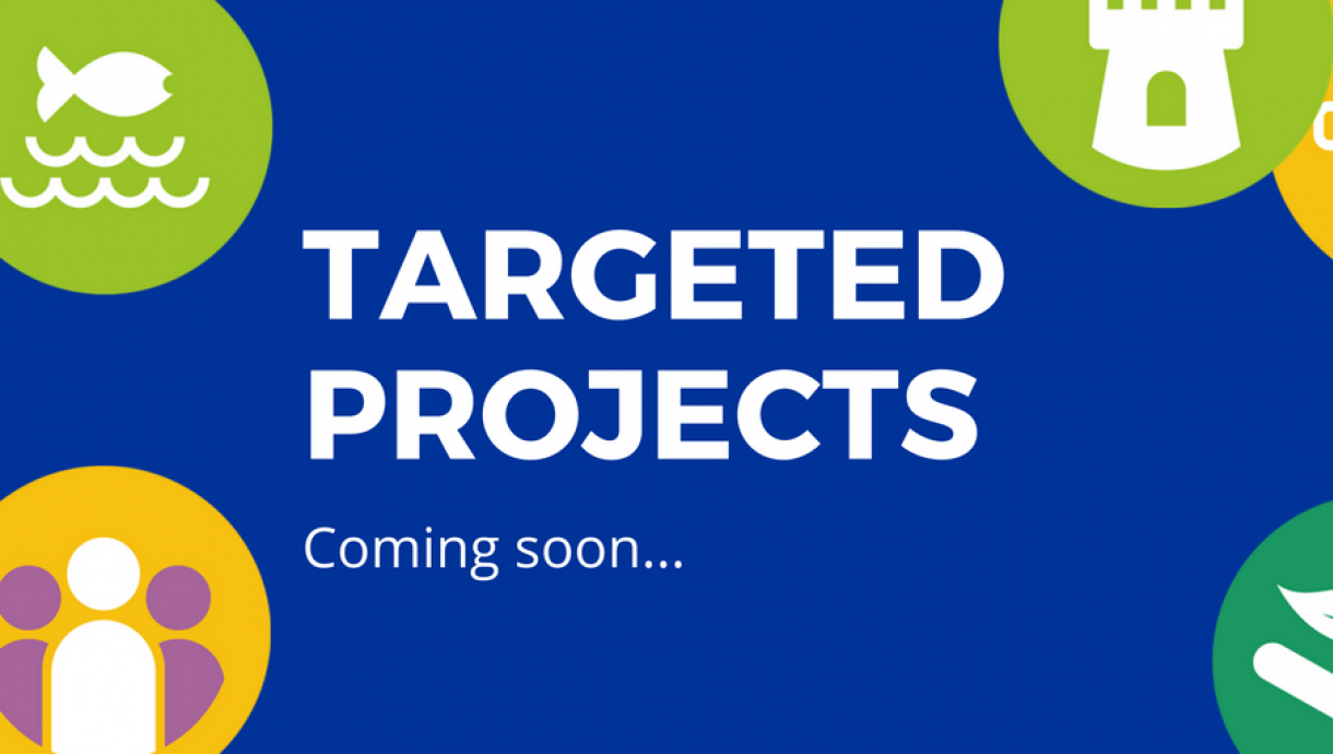 Targeted Projects2