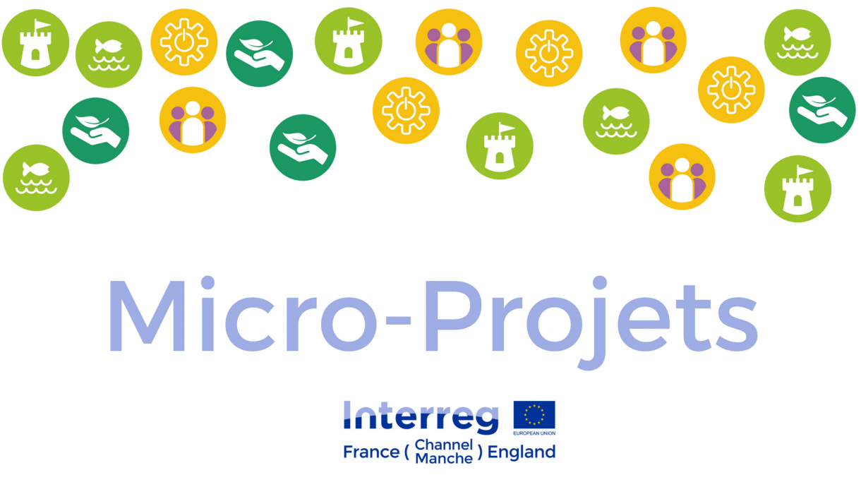 French Micro Projects Logo no edges2