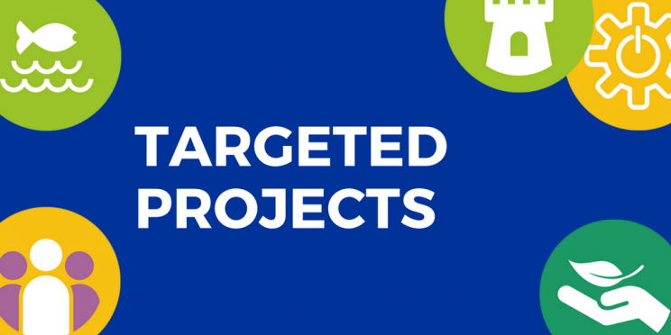 Targeted Projects 2