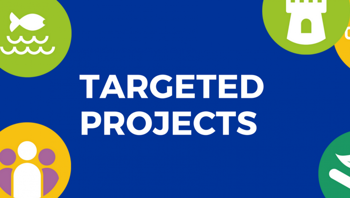 Targeted Projects 2