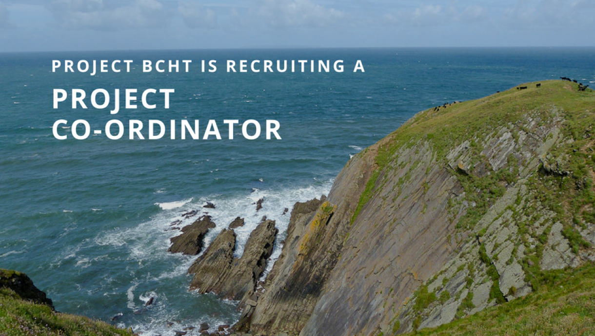 BCHT Recruitment