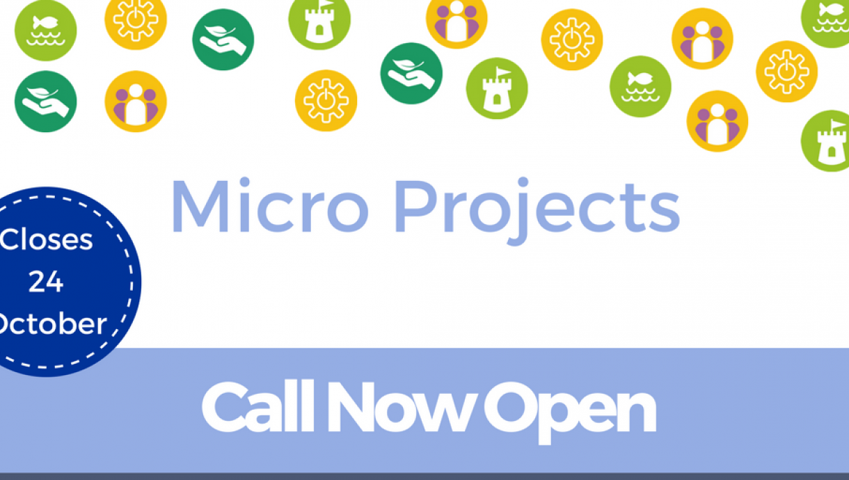 Call open Micro Projects 1