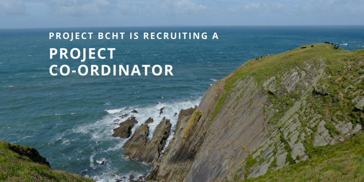BCHT Recruitment
