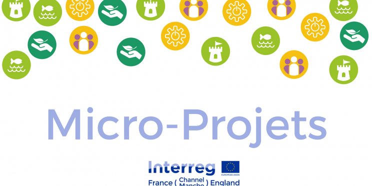 French-Micro-Projects-Logo-no-edges.png